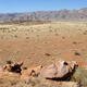 Illustration for article titled After 15 Years of Study, a New Theory of What Causes Fairy Circles